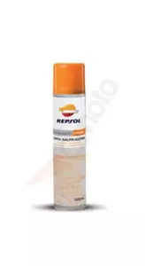 Repsol rengøringsspray til instrumentbræt 300 ml - RP709D99