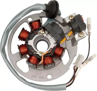 Ecart d'allumage du stator électrique de Rick's Motorsport - 21-550