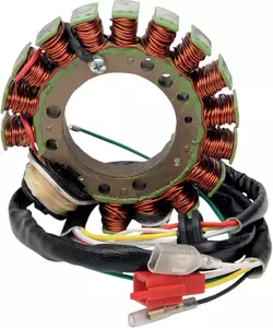 Rick's Motorsport Electric stator gnistgab - 21-616H