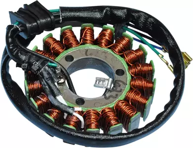 Ecart d'allumage du stator électrique de Rick's Motorsport - 21-623