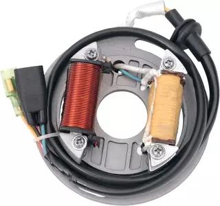 Rick's Motorsport Electric stator gnistgab - 21-705H