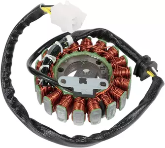 Rick's Motorsport Electric stator gnistgab - 21-708H