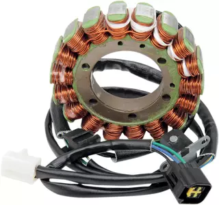 Rick's Motorsport Electric stator gnistgab - 21-807H