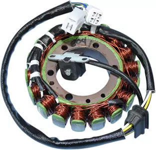 Ecart d'allumage du stator électrique de Rick's Motorsport - 21-809