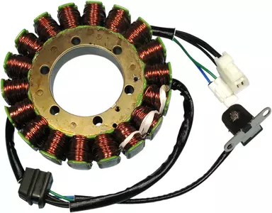 Rick's Motorsport Electric stator gnistgab - 21-814