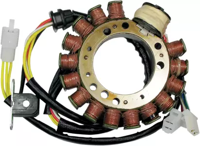 Rick's Motorsport Electric stator gnistgab - 21-817