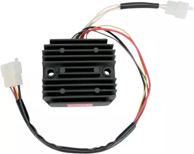 Rick's Motorsport Regulador de voltaje eléctrico - 10-409