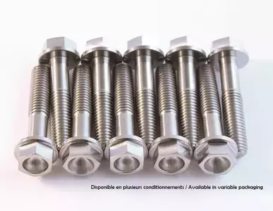 Litteken titanium schroeven M6X12 - STIM6X12-02