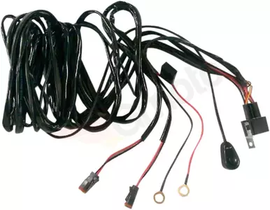 Faisceau de câbles avec interrupteur Brite-Lites - BL-WHHD2