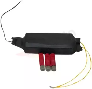 Custom Dynamics LED-belysningskonverter til blinklys - LR10