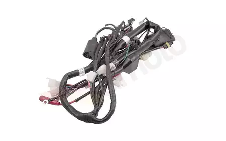 Инсталиране на кабелните снопове на Barton Cafe Racer 125 - IELZNZ026