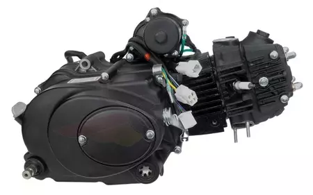 Horizontale 110cc motor met 4 handgeschakelde versnellingen-3