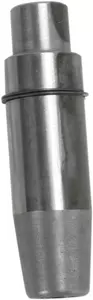 Guia da válvula de aspiração em ferro fundido Kibblewhite - 20-2120C