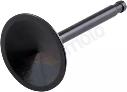 Black Diamond Kibblewhite usisni ventil - 20-4167