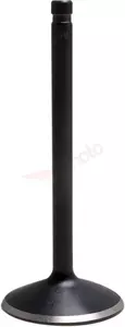 Black Diamond Kibblewhite usisni ventil - 20-20900
