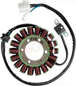 Намотка на алтернатора на Moose Utility stator - M21-806 