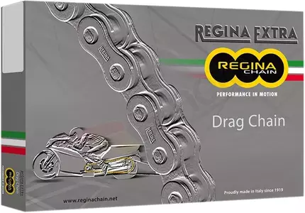 Corrente de acionamento Regina 530 DR 150 com fecho e pino de lincagem dourados-1
