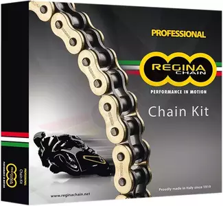 Regina aandrijfset Ducati Panigale 1199 13-14 - KD046 