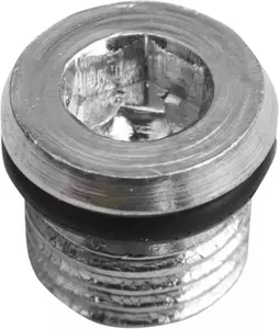 Drag Specialties olieaftapplug met magneet 5/16-18 - 11-0298P