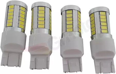 Rivco Products LED žarulja-2