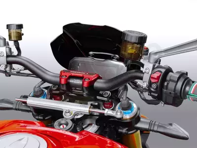 WRS Sport Ducati SF V4 motociklo priekinis stiklas matinis juodas-3