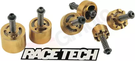 Kit de reparação de amortecedores dourados Race Tech-2