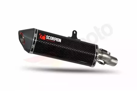Schalldämpfer Skorpion Kawasaki Ninja 1000 18-20 Carbon - SCORPION