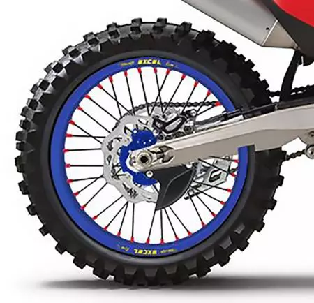 Compleet achterwiel 18x2.15x36T Haan Wheels blauw/blauwe naaf/zwarte spaken/rode nippels - 136012/5/5/3/6