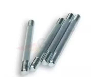 Zylinderstifte 4 Stück Tecnium Derbi - 0930970
