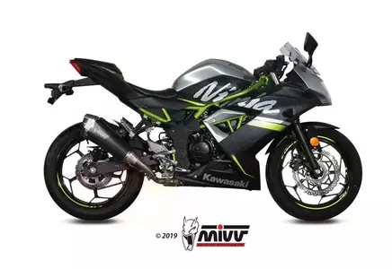 MIVV Delta Race Kawasaki Ninja 125 marmitta 19- acciaio nero - carbonio - 00.73.K.048.LDRB