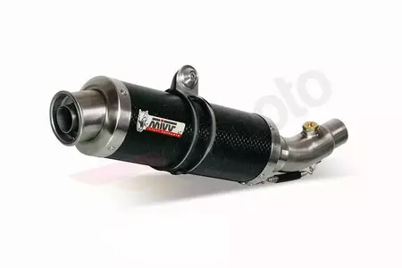 MIVV GP äänenvaimennin Ducati Monster 1000 03-08 hiili - 00.73.AD.018.L2S