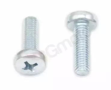 Tornillo Philips M5x0.8x15mm 10 uds. - 022-20515
