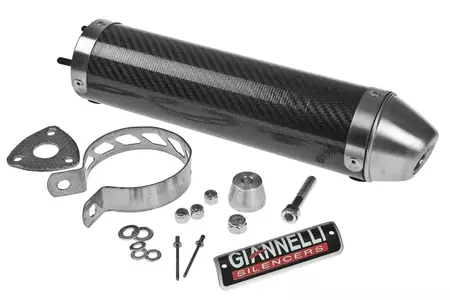 Giannelli Strada Carbon Yamaha TZR-Schalldämpfer - 33648HF