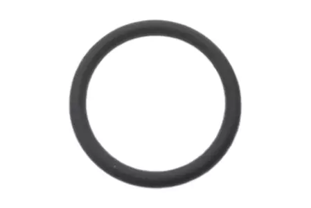 O-ring afdichting Athena 2x20 mm