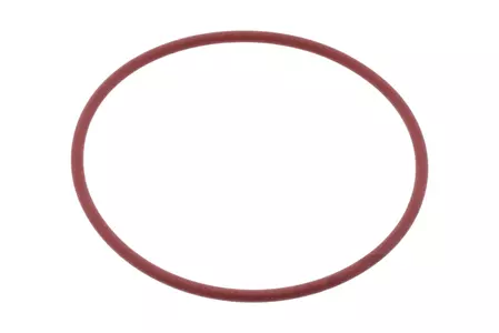 Guarnizione coperchio valvola Athena O-Ring 2,5x57 mm