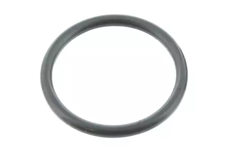 O-ring afdichting 19,8x2,2 OEM product