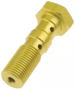 Bullone TRW per tubo freno MCH971GM 10X1,00 doppio colore oro-1