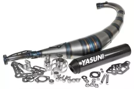 Uitlaat Yasuni R2 Max Koolstof Aprilia RX Beta RR Derbi Senda R Yamaha DTR-1
