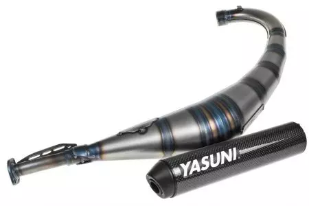 Väljalaskesüsteem Yasuni R2 Max Carbon Aprilia RX Beta RR Derbi Senda R Yamaha DTR-2