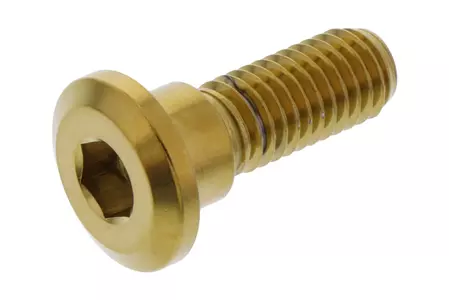 Parafuso do disco de travão JMP M8x1,25 mm comprimento 24 mm aço inoxidável dourado - LSSDISCHONREG