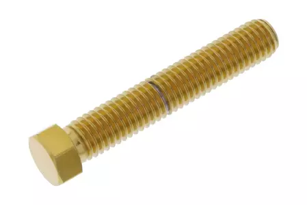 JMP telje reguleerimiskruvi M8x1,25 mm pikkusega 45 mm roostevabast terasest kuldne - LSSAXLEADJ845G