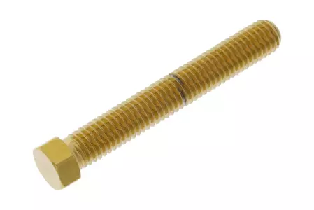 JMP telje reguleerimiskruvi M8x1,25 mm pikkusega 55 mm roostevabast terasest kuldne - LSSAXLEADJ855G
