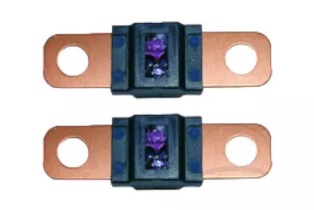 MIDI poistka 100A modrý blister 2 ks. - 4001796511196