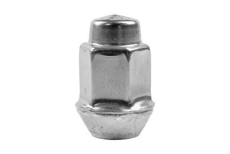 Wielmoer M12x1,5 conisch 19 zilver 10 st. - M1215KEG10VOM
