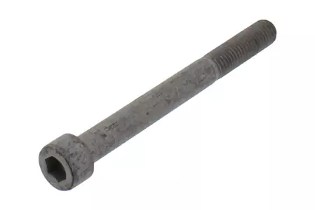 Skrutka brzdového strmeňa M10x1,5 dĺžka 100 mm