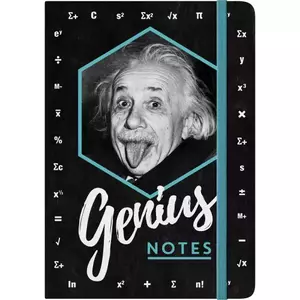 Einstein-Geniuse märkmed - 54008