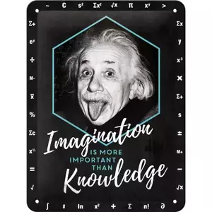 Plåtaffisch 15x20cm Einstein-Imaginat-1