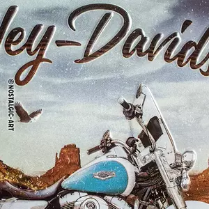 Limeni poster 15x20cm za Harley Davidson Road-3