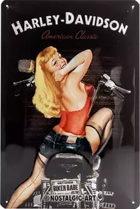 Póster de hojalata 20x30cm para Harley-Davidson Babe-2