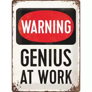Tinast plakat 30x40cm Genius at Work - 23229